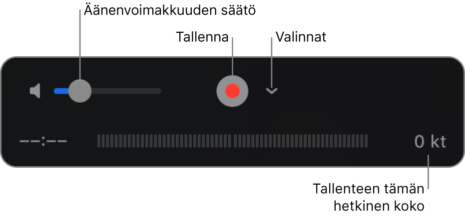 Tallennussäätimet, mukaan lukien äänenvoimakkuuden säädin, äänityspainike ja Valinnat-ponnahdusvalikko.