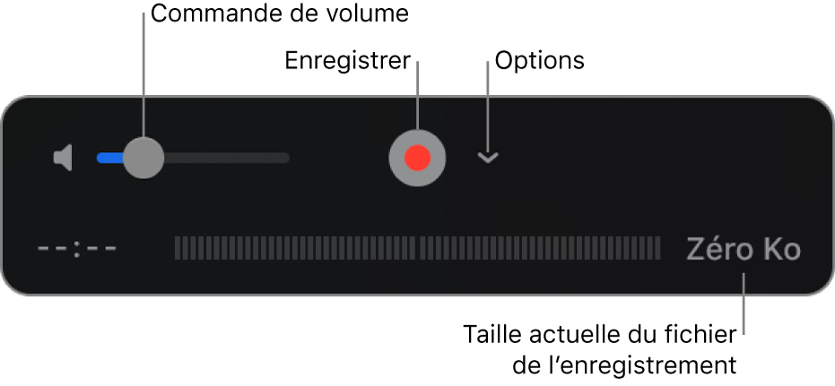 Les commandes d’enregistrement, notamment le contrôle du volume et le bouton Enregistrer, et le menu contextuel Options.