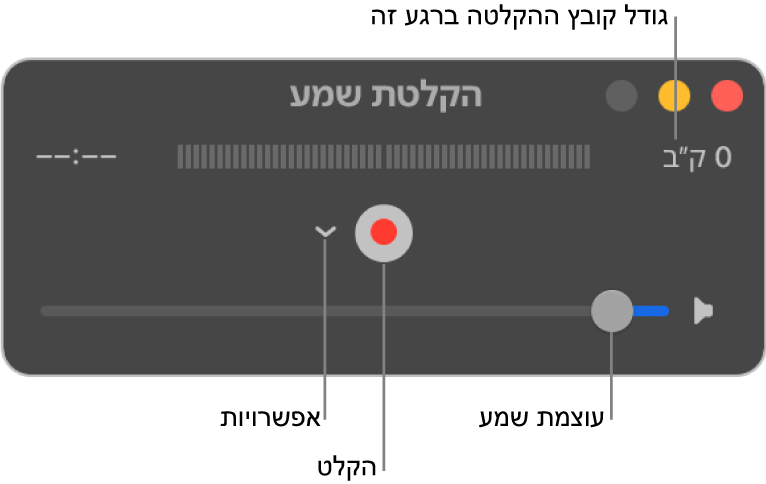 החלון "הקלטת שמע" עם הכפתור "הקלט" והתפריט הקופצני "אפשרויות" באמצע החלון, ובקרת עוצמת קול בחלק התחתון.