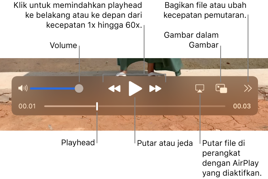 Kontrol untuk volume, putar balik, putar, percepat maju, dan memutar file di perangkat dengan AirPlay yang diaktifkan, dan mengubah kecepatan pemutaran.