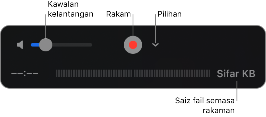 Kawalan rakaman, termasuk kawalan kelantangan, butang Rakam dan menu timbul Pilihan.