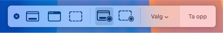 Skjermbilde-verktøy med Ta opp-knappen til høyre og valglokalmenyen ved siden av.