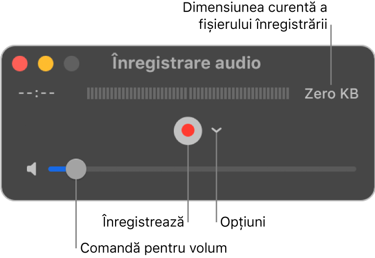 Fereastra Înregistrare audio, cu butonul Înregistrează și meniul pop-up Opțiuni în centrul ferestrei și comanda de volum în partea de jos.