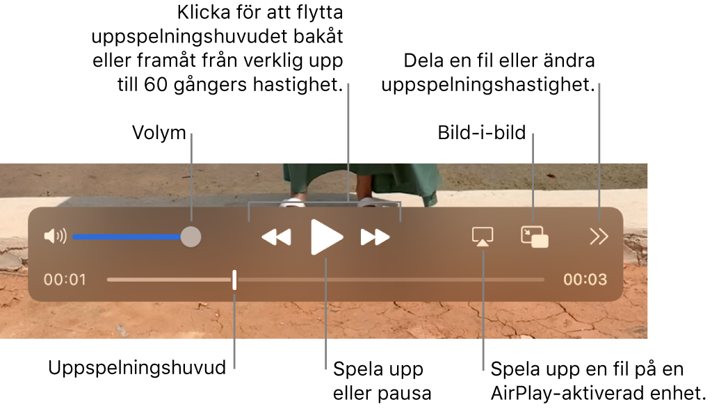 Reglage för volym, spola bakåt, spela upp, spola framåt, spela en fil på en AirPlay-kompatibel enhet och ändra uppspelningshastighet.