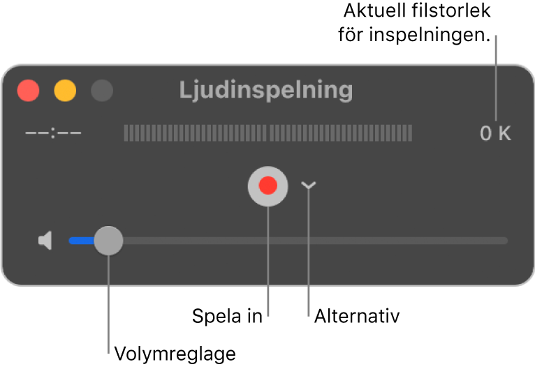 Ljudinspelningsfönstret med inspelningsknappen och alternativpopupmenyn i mitten av fönstret och volymreglaget längst ned.