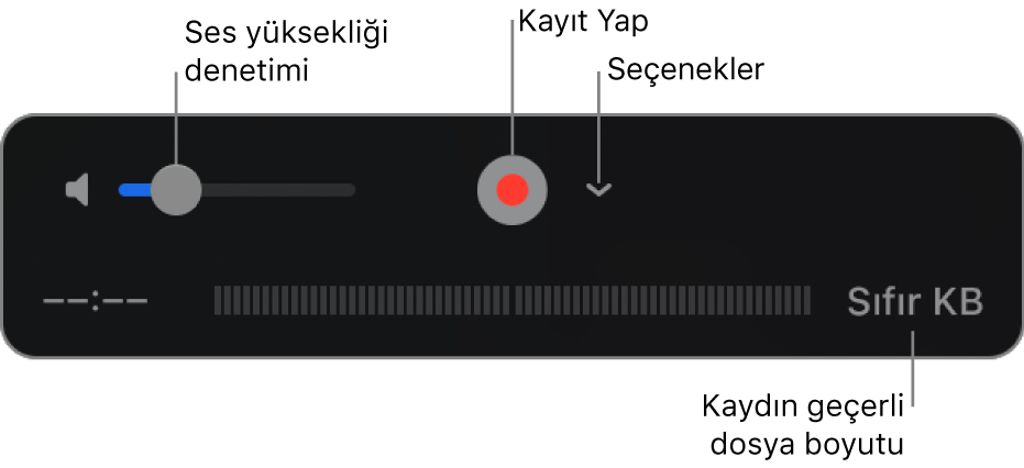 Ses yüksekliği denetimi, Kayıt Yap düğmesi ve Seçenekler açılır menüsünü içeren kayıt denetimleri.