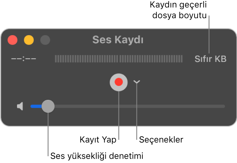 Pencerenin ortasında Kayıt Yap düğmesi ve Seçenekler açılır menüsü ile Ses Kaydı penceresi, altında da ses yüksekliği denetimi.