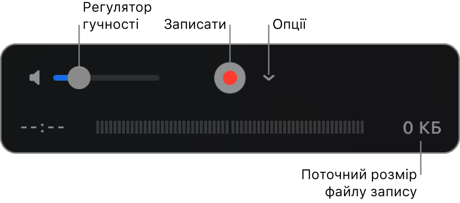 Елементи керування записом, в тому числі елементи керування гучністю, кнопка «Записати» і спливне меню «Параметри».