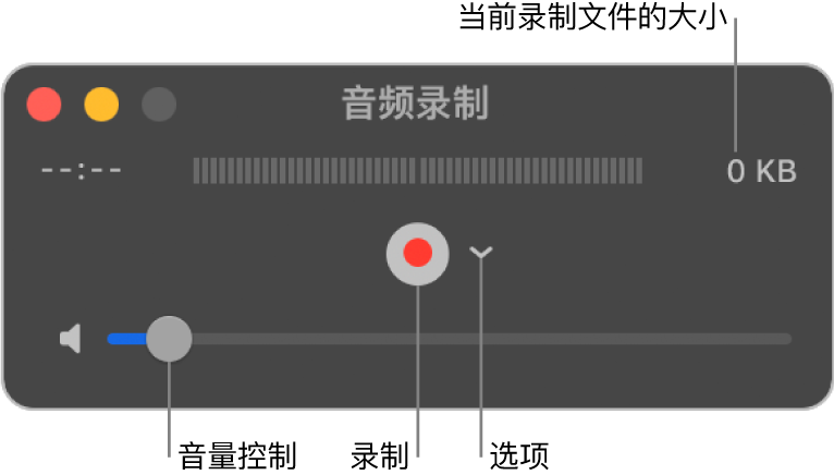 “音频录制”窗口，窗口中间是“录制”按钮和“选项”弹出式菜单，底部是音量控制。