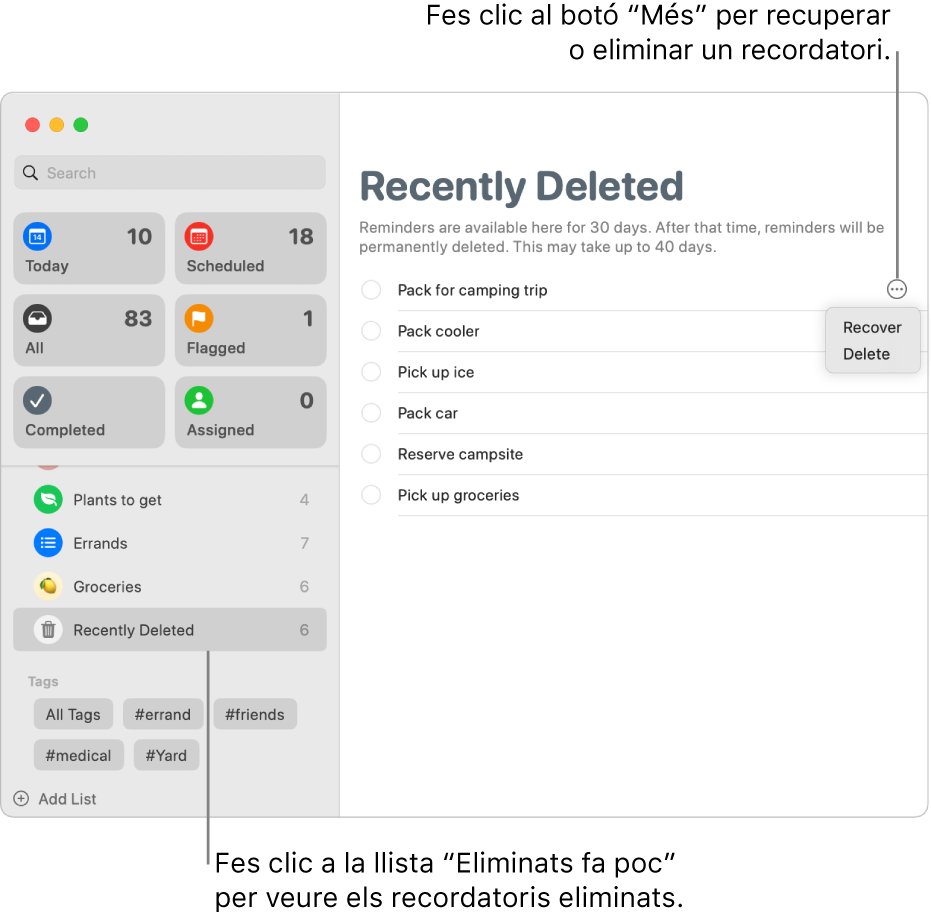 Una finestra de l’app Recordatoris on es mostra la llista “Eliminats fa poc” seleccionada a la barra lateral i el botó “Més” d’un recordatori en què es mostren les opcions “Recupera” o “Elimina”.