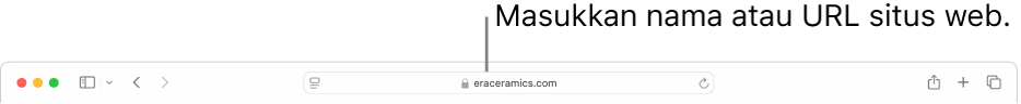 Bidang Pencarian Cerdas Safari, tempat yang dapat Anda masukkan nama atau URL situs web.