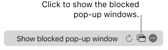 The Smart Search field with a button to show blocked pop-up windows.