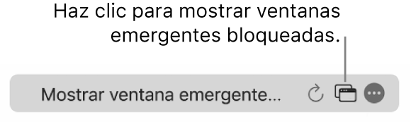 El campo de búsqueda inteligente con un botón para mostrar las ventanas emergentes bloqueadas.