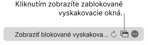 Pole Dynamické vyhľadávanie s tlačidlom na zobrazenie blokovaných vyskakovacích okien.