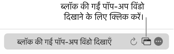 स्मार्ट खोज फ़ील्ड जिसमें ब्लॉक की गईं पॉप-अप विंडो दिखाने के लिए बटन है।