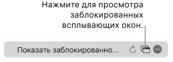 Поле смарт‑поиска с кнопкой просмотра заблокированных всплывающих окон.