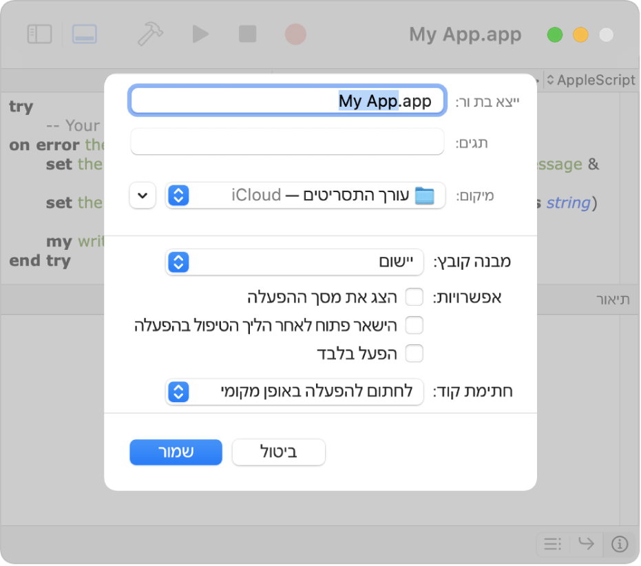 תיבת הדו-שיח ״ייצוא״ מציגה את התפריט הקופצני ״מבנה קובץ״ עם האפשרות ״יישום״ מסומנת ועם האפשרויות שניתן להגדיר בעת שמירת התסריט.
