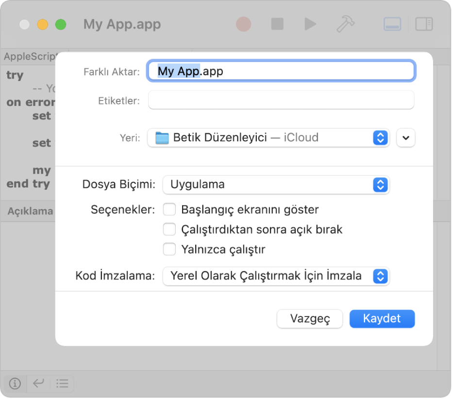 Seçili uygulamanın ve betiği kaydederken ayarlayabileceğiniz seçeneklerin olduğu Dosya Biçimi açılır menüsünün gösterildiği Dışa Aktarma sorgu kutusu.