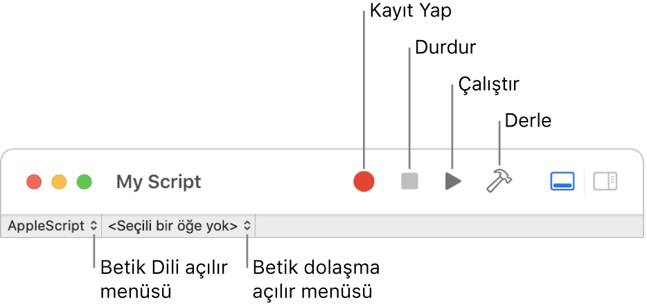 Kayıt yap, durdur, çalıştır, derle, betik dili ve betik dolaşma denetimlerini gösteren Betik Düzenleyici araç çubuğu.