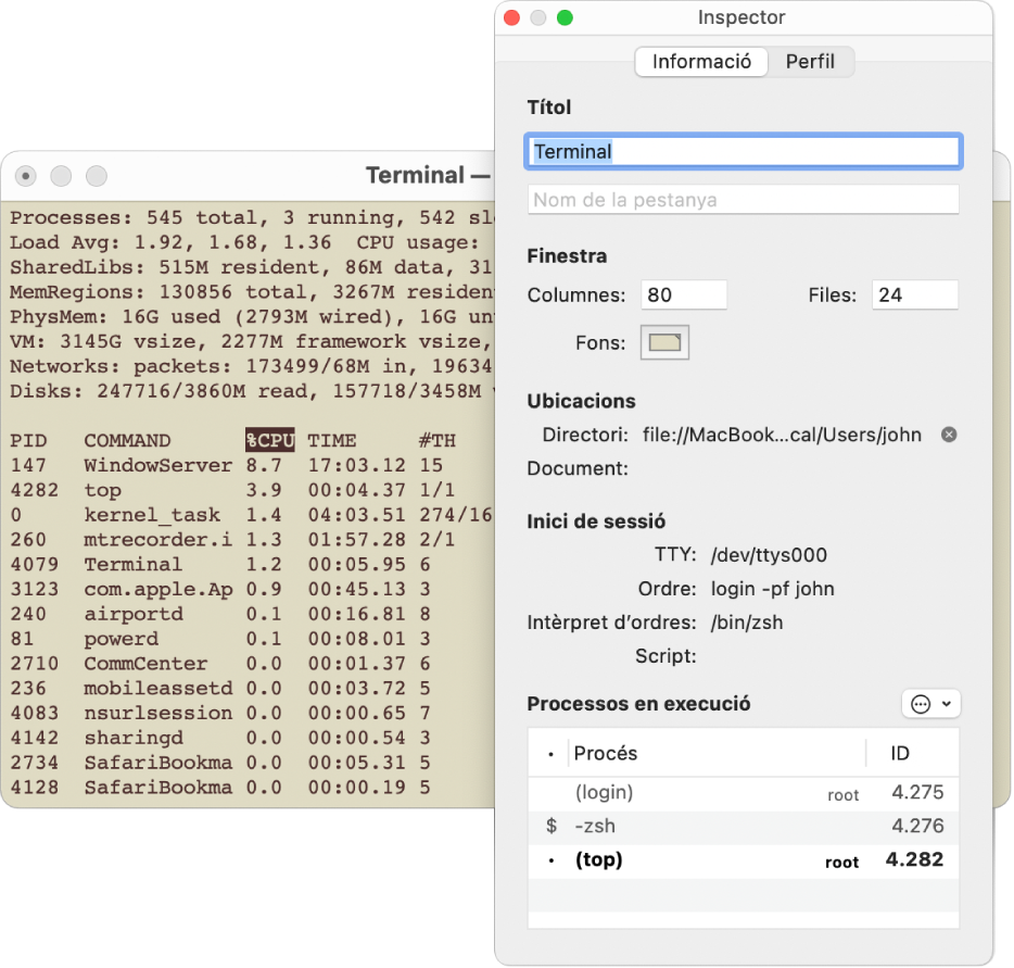 Tauler Inspector al Terminal.