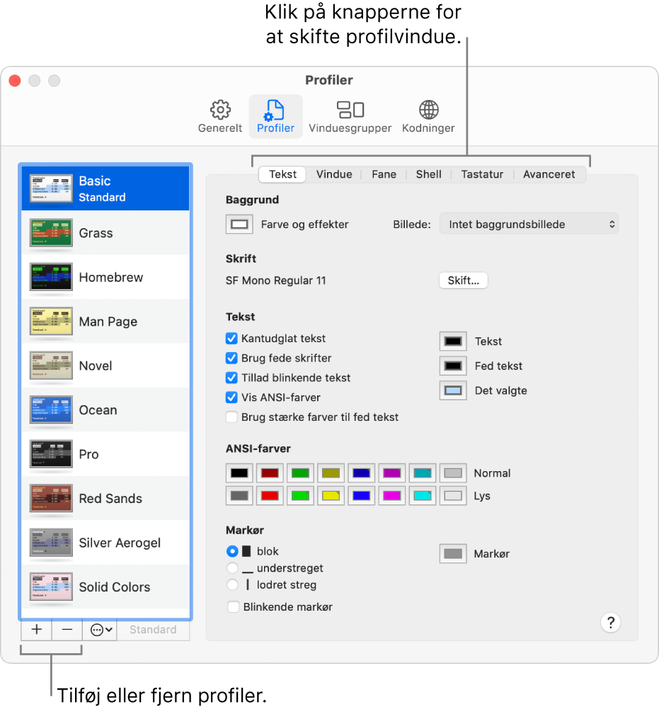 Panelet Terminalprofiler viser den valgte Grundprofil, knapper til tilføjelse og fjernelse af profiler og de knapper, der bruges til at skifte paneler med profiler.