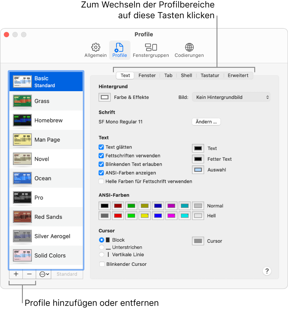 Der Bereich „Profile“ in den Terminal-Einstellungen mit ausgewähltem Profil „Basic“, Tasten zum Hinzufügen und Entfernen von Profilen und Tasten zum Wechseln von Profilbereichen