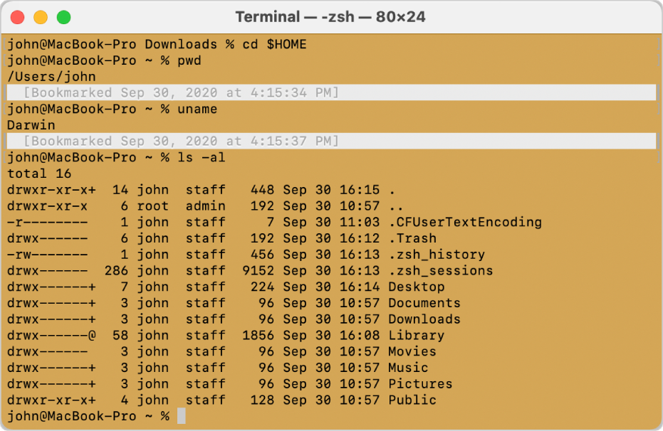 A Terminal window, showing marks and bookmarks on the left and right sides of the window, and a timestamped bookmark above a command prompt.