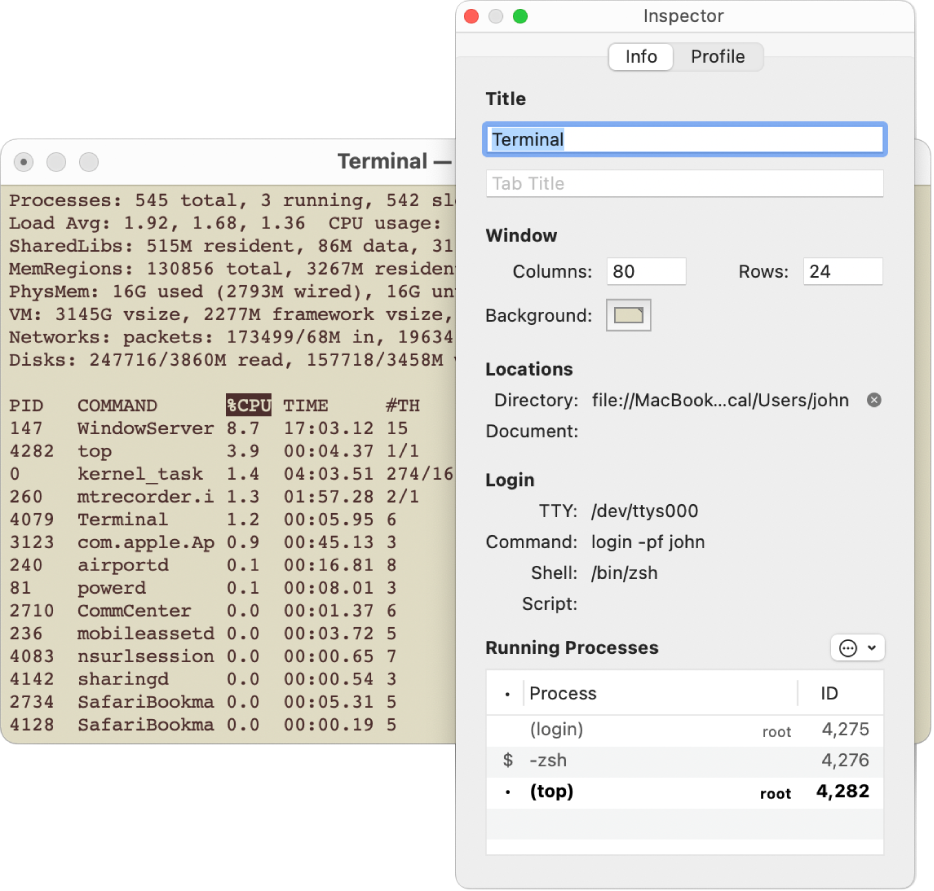 The Inspector pane in Terminal.