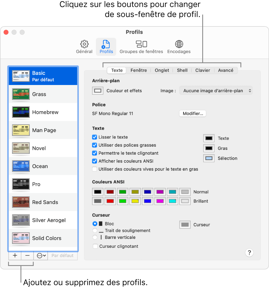 La sous-fenêtre Profils de Terminal présentant le profil Basic sélectionné, des boutons pour ajouter et supprimer des profils, ainsi que des boutons permettant de changer de sous-fenêtre de profils.