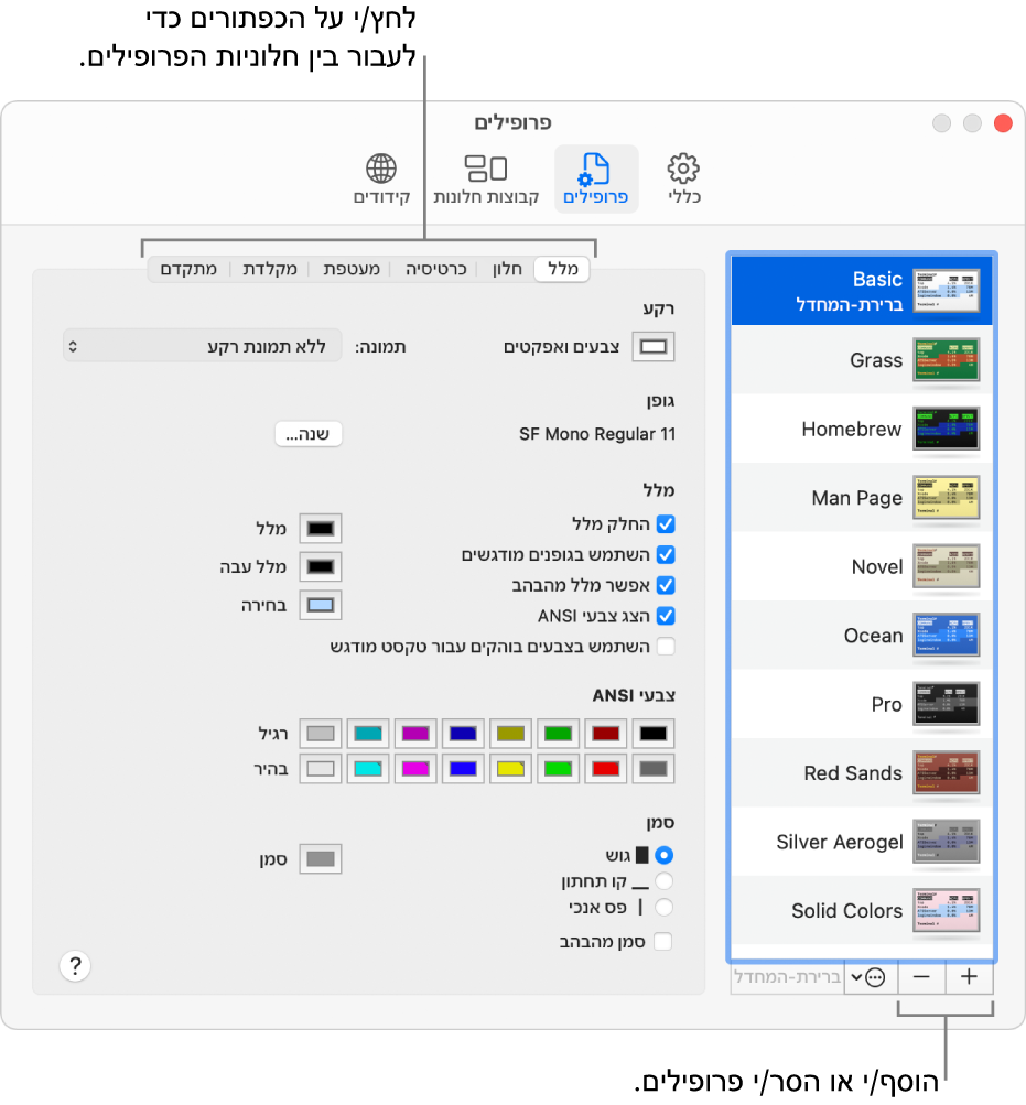 החלונית ״פרופילי ׳המסוף׳״ מציגה את הפרופיל ״בסיסי״ הנבחר, כפתורים להוספה והסרה של פרופילים וכפתורים המשתמשים למעבר בין חלוניות פרופילים.
