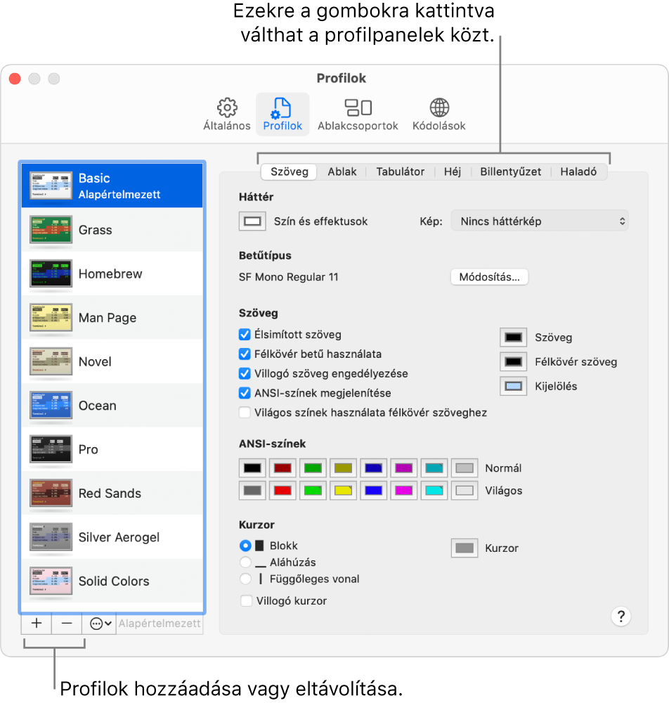 A Terminal app Profilok panelje az Egyszerű profillal, amely kijelölve látható, ezenkívül a profilok hozzáadására és eltávolítására, illetve a profilpanelek közötti váltásra használható gombokkal.