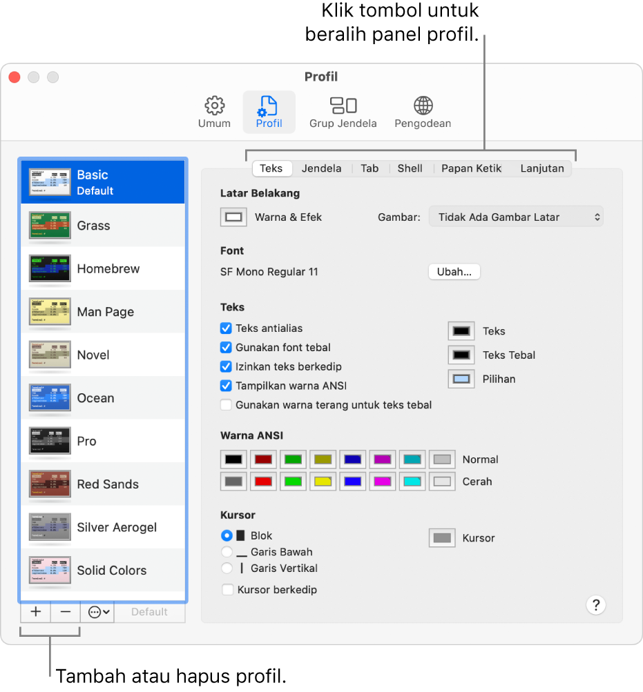 Panel Profil Terminal menampilkan profil Dasar yang dipilih, tombol untuk menambahkan dan menghapus profil, dan tombol yang digunakan untuk beralih panel profil.