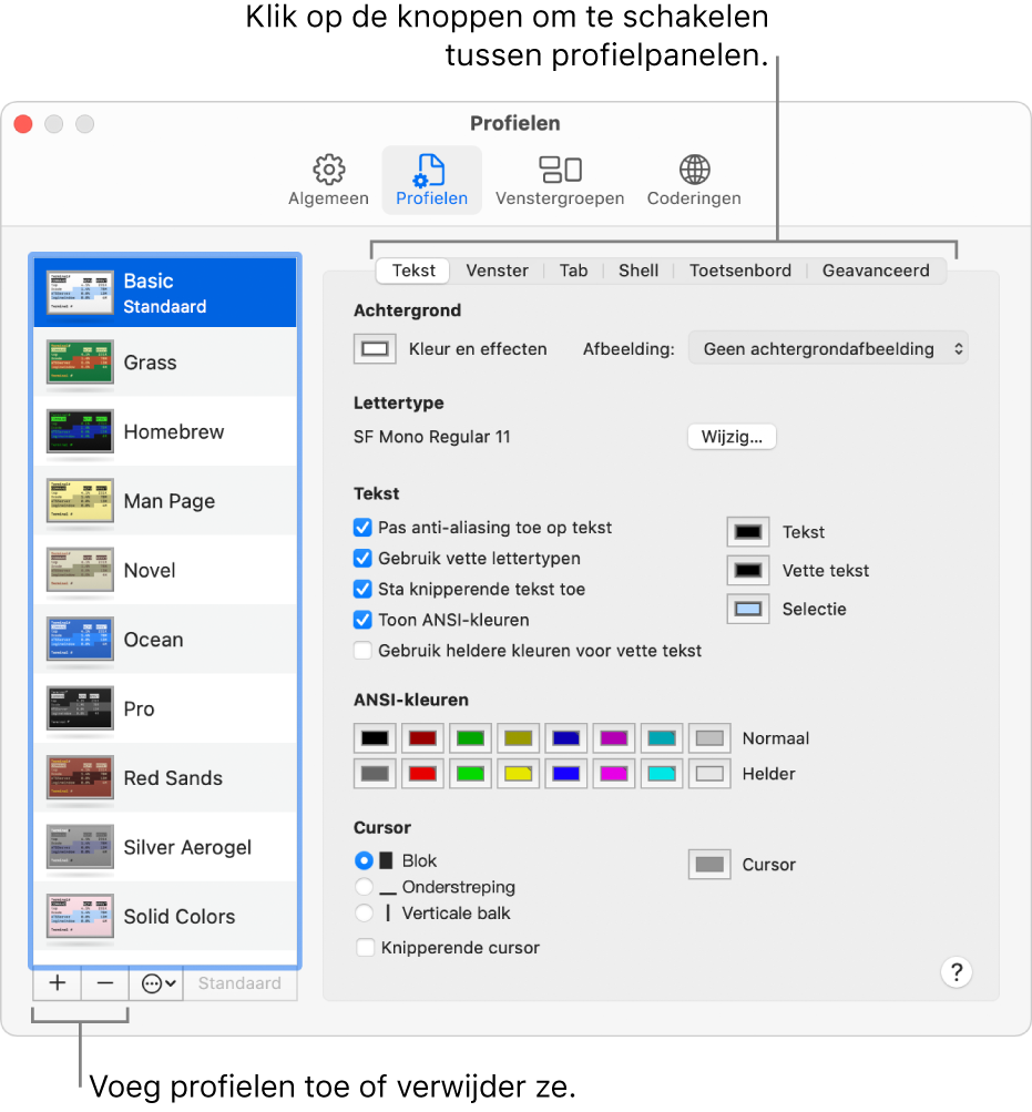 Het paneel 'Profielen' van het voorkeurenvenster van Terminal met daarin het profiel 'Basic' geselecteerd, knoppen om profielen toe te voegen en te verwijderen, en knoppen om naar een ander profielpaneel te gaan.