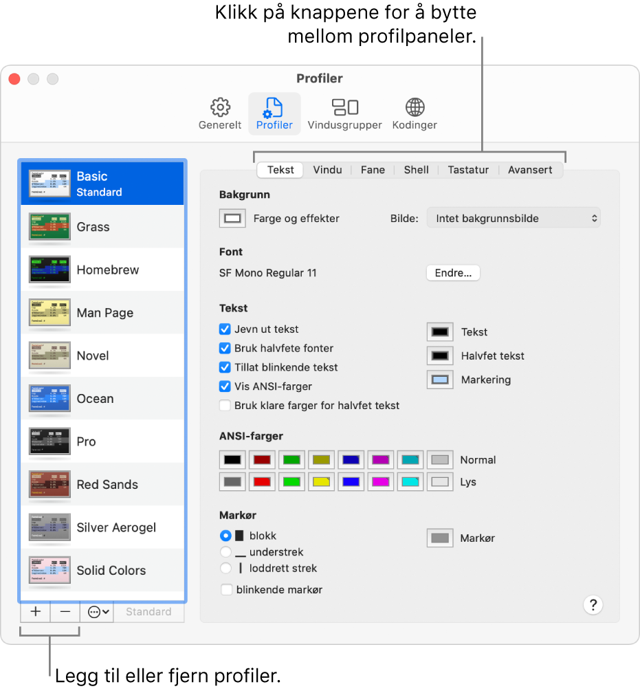 Profiler-panelet i Terminal som viser Basic-profilen markert, knapper for å legge til og fjerne profiler, og knappene som brukes til å bytte profilpaneler.