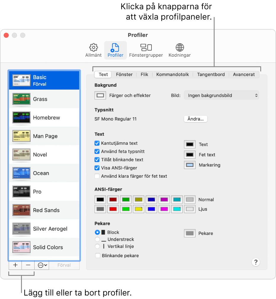 I Terminal-panelen Profiler visas vald grundprofil, knappar för att lägga till och ta bort profiler och knappar för att växla mellan profilpaneler.