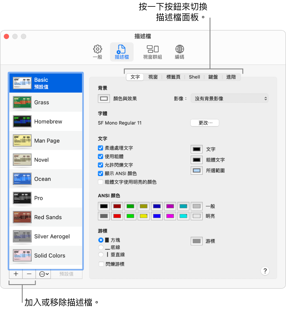 「終端機描述檔」面板顯示已選取的「基本」描述檔、用來加入和移除描述檔的按鈕，以及用於切換描述檔面板的按鈕。