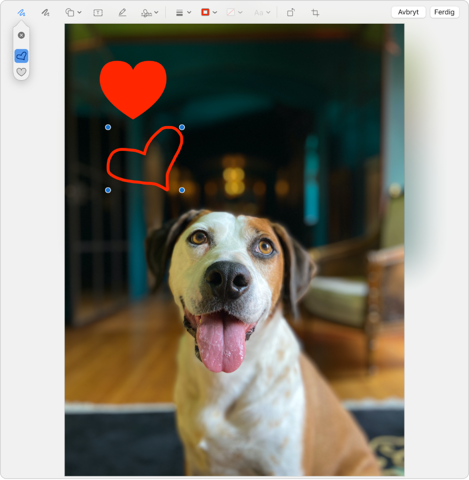 Et bilde med et hjerte tegnet på det ved hjelp av Merking-verktøyene.