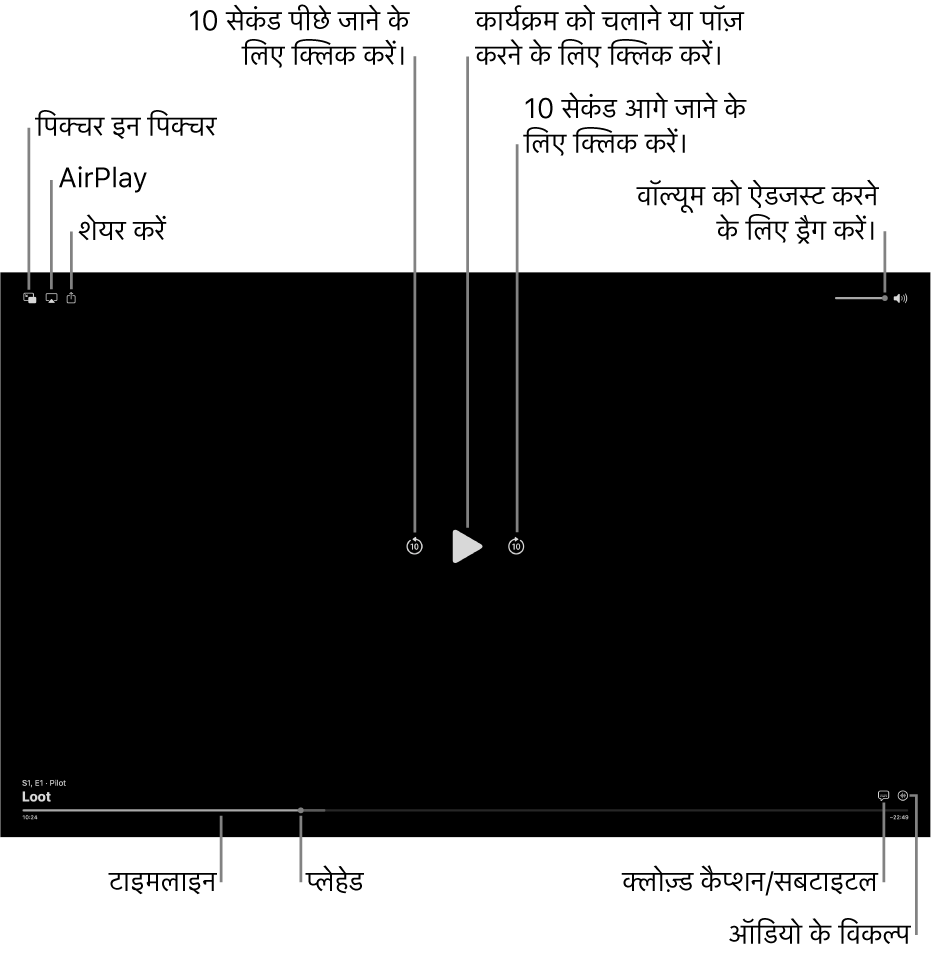 व्यूअर में प्लेबैक नियंत्रण, जिसमें चलाने या पॉज़ करने, आगे या पीछे स्किप करने और वॉल्यूम ऐडजस्ट करने के बटन शामिल हैं।