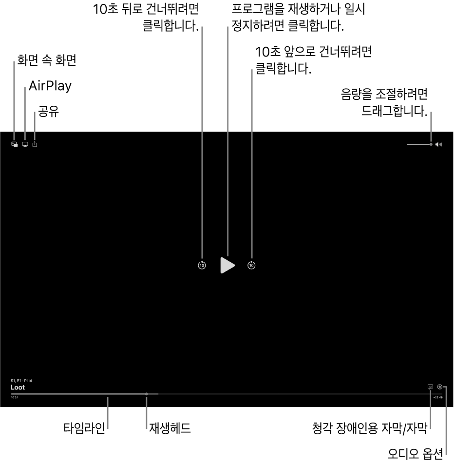 재생 또는 일시 정지, 앞으로 또는 뒤로 건너뛰기 및 음량 조절 버튼이 포함된 뷰어의 재생 제어기.