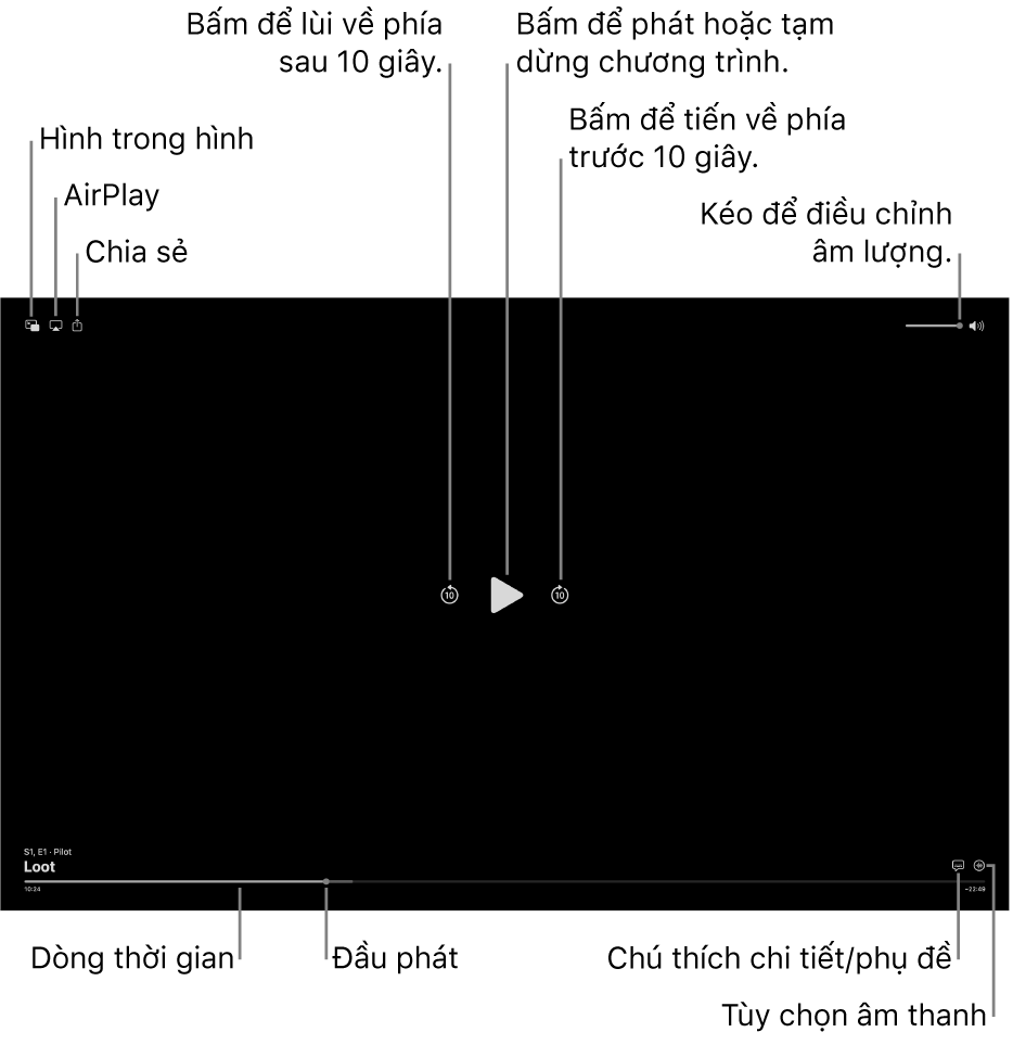 Các điều khiển phát lại trong trình xem, bao gồm các nút để phát hoặc tạm dừng, tiến về trước hoặc lùi về sau và điều chỉnh âm lượng.