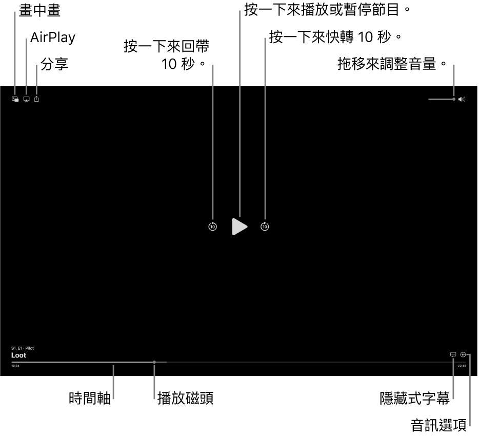 檢視器中的播放控制項目，包括播放或暫停、快轉或回帶以及調整音量的按鈕。