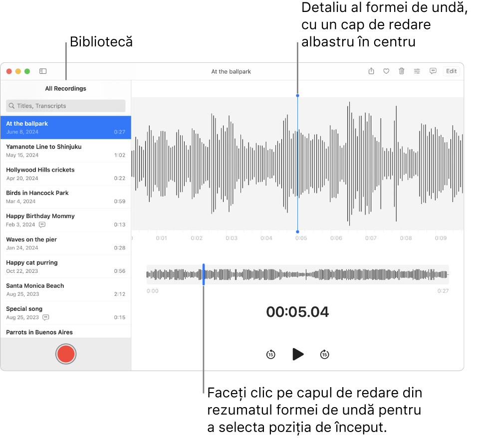 Aplicația Reportofon afișează înregistrările din bibliotecă în partea stângă. Înregistrarea selectată apare în fereastra din partea dreaptă a listei, ca detaliu sub formă de undă, cu un cap de redare albastru în centru. Sub înregistrare se află rezumatul formei de undă.