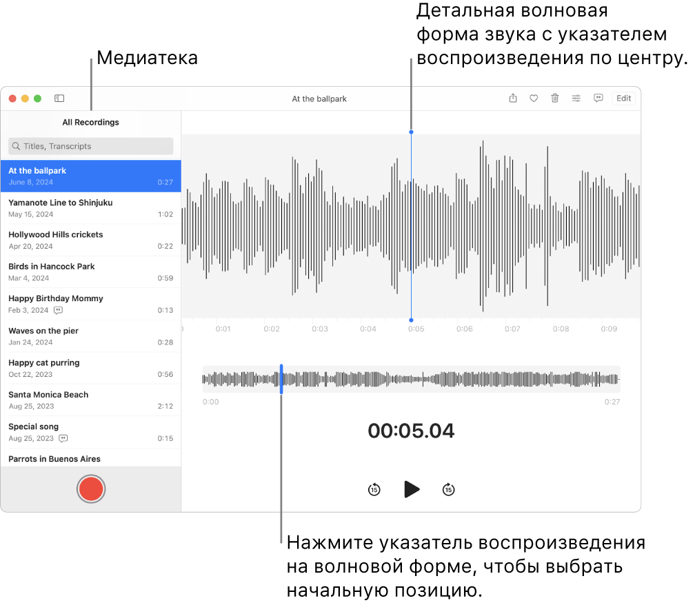 Приложение «Диктофон» с записями в медиатеке слева. Выбранная запись отображается в окне справа от списка в виде участка волновой формы с синим указателем воспроизведения в центре. Ниже записи расположен обзор волновой формы.