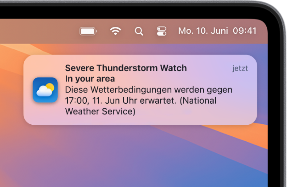 Eine Mitteilung über eine Warnung des Nationalen Wetterdienstes vor einem schweren Gewitter.