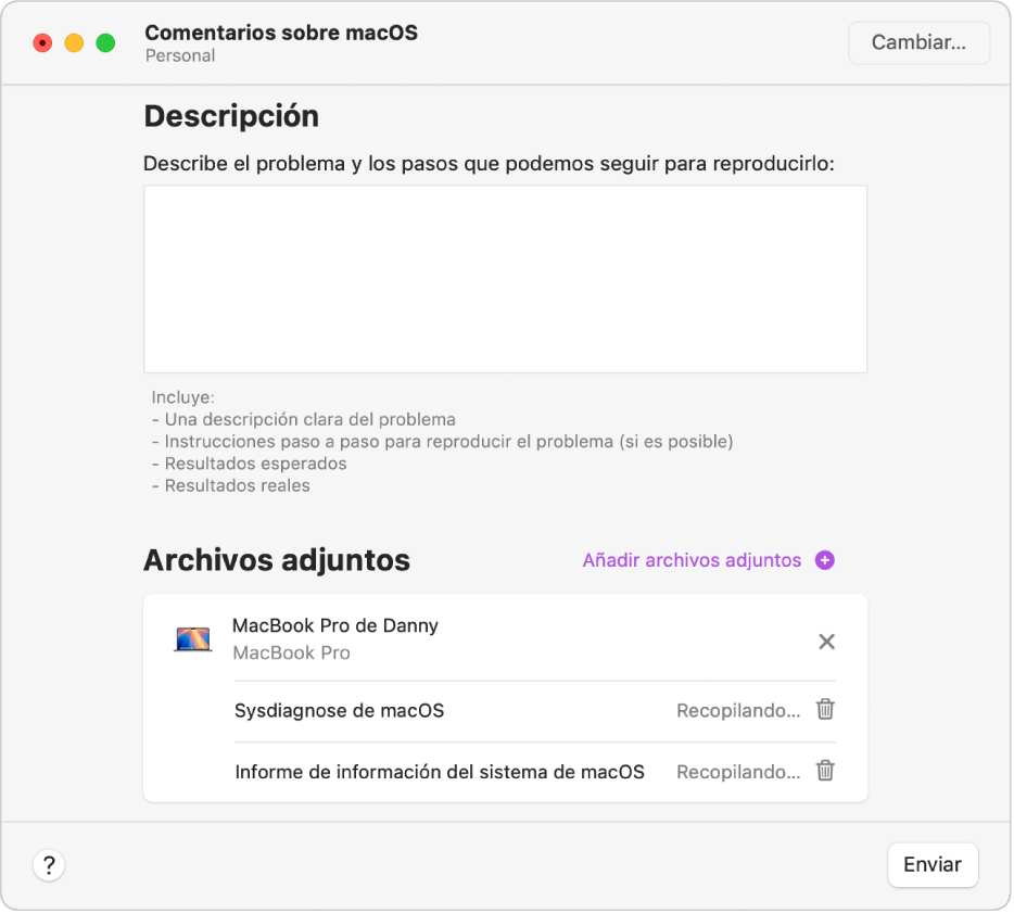 Ventana de informe de la app Asistente de Opinión con el campo de descripción vacío y los archivos adjuntos que se están recopilando automáticamente.