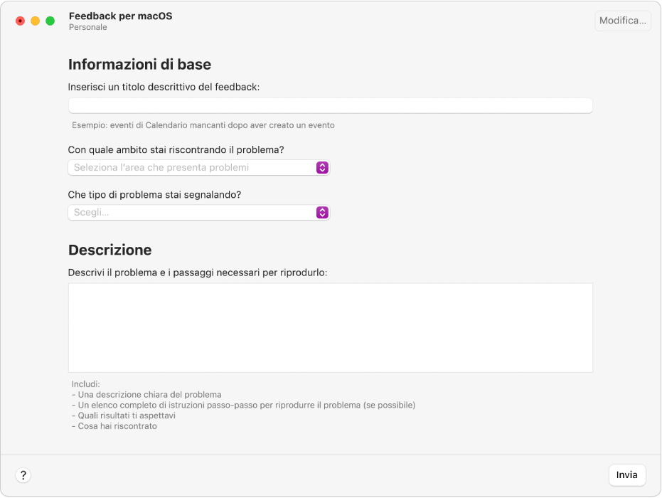 Un modulo di un feedback che mostra le informazioni di base e i campi della descrizione.