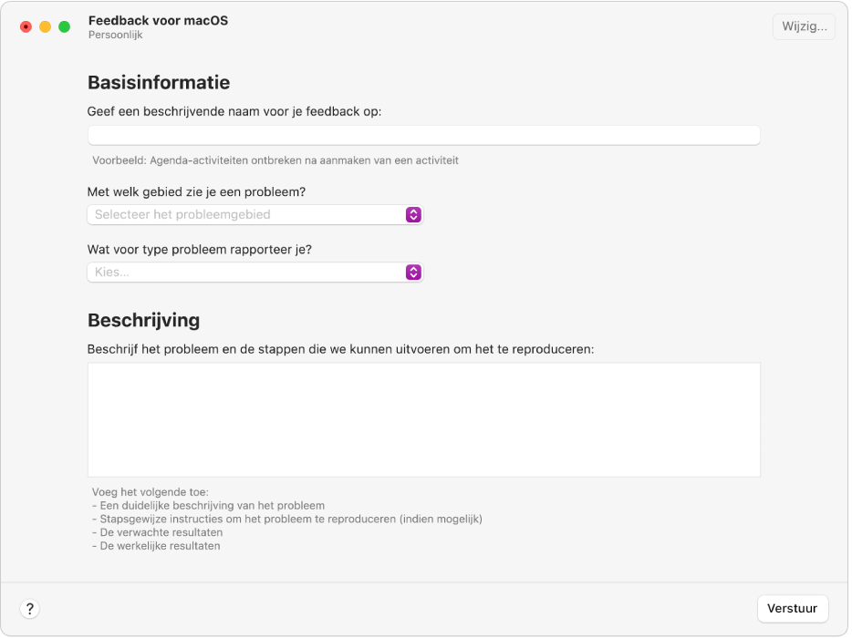 Een feedbackformulier met de velden voor standaardinformatie en de beschrijving.