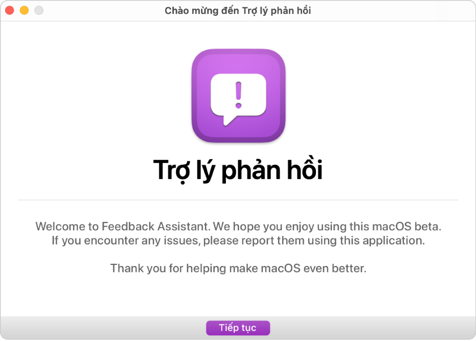 Cửa sổ Chào mừng đến Trợ lý phản hồi.