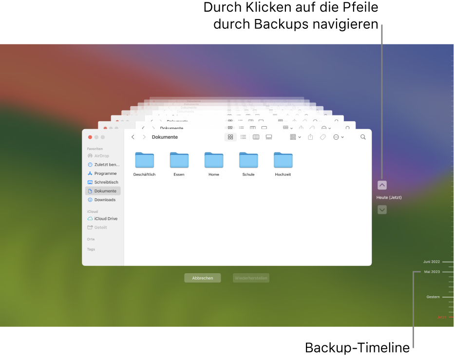 Häkchen in der Backup-Timeline. Das rote Häkchen markiert das Backup, dass du aktuell durchsuchst.