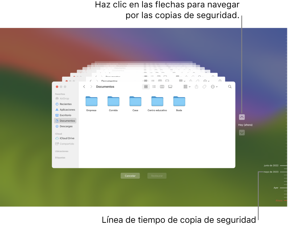 Marcas en el control temporal de copia de seguridad. La marca roja indica la copia de seguridad que estás explorando.